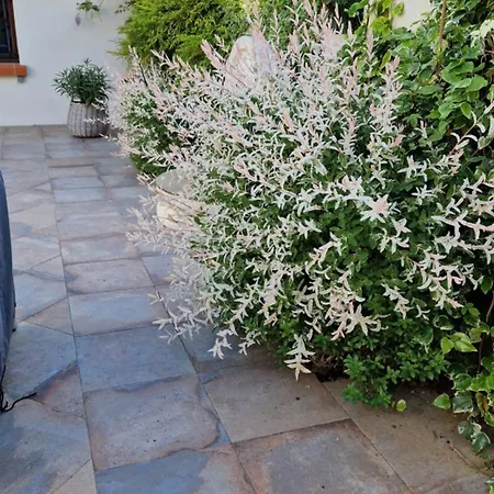 Bienvenue A La Toulousaine Bed & Breakfast *