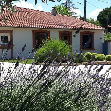 Bienvenue A La Toulousaine