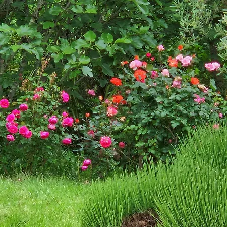 Bienvenue A La Toulousaine Bed & Breakfast Brax (Haute-Garonne)